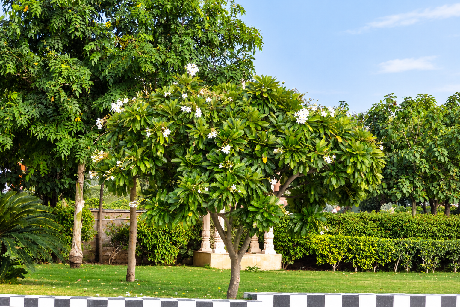 Radisson Resort Udaipur